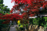 天球院