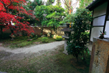 天球院 天球手水と紅葉