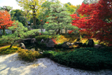 正伝永源院 紅葉の庭園