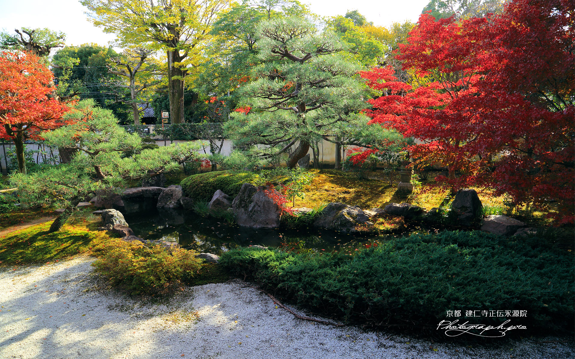 正伝永源院 紅葉の庭園