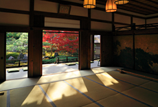 正伝永源院