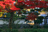 両足院 建仁寺境内の紅葉