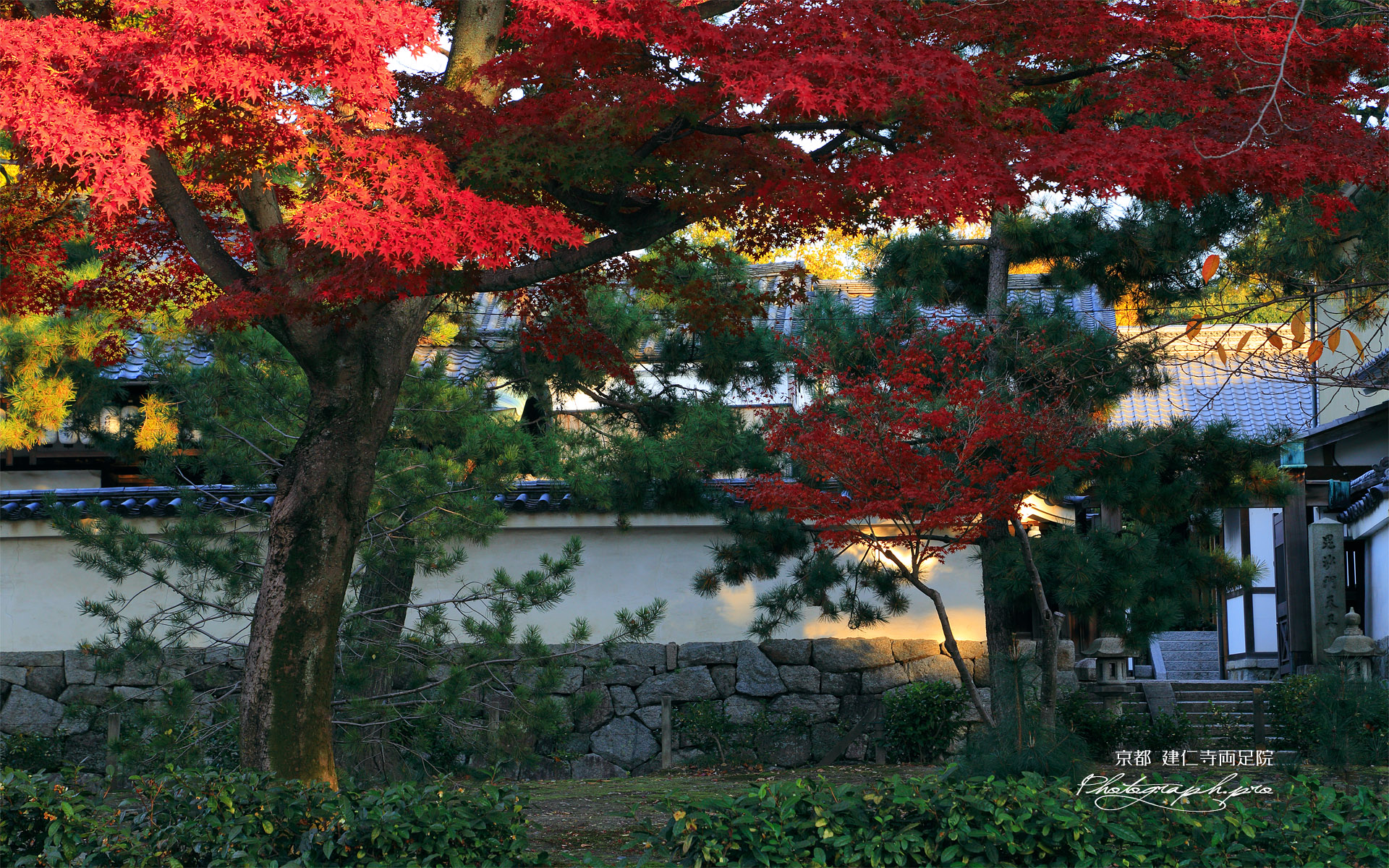 両足院 建仁寺境内の紅葉