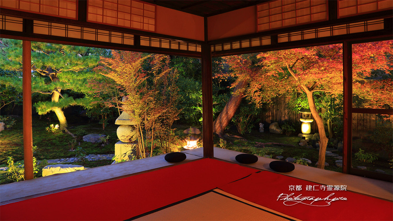 建仁寺霊源院 甘露庭の紅葉ライトアップ 壁紙