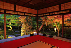 霊源院