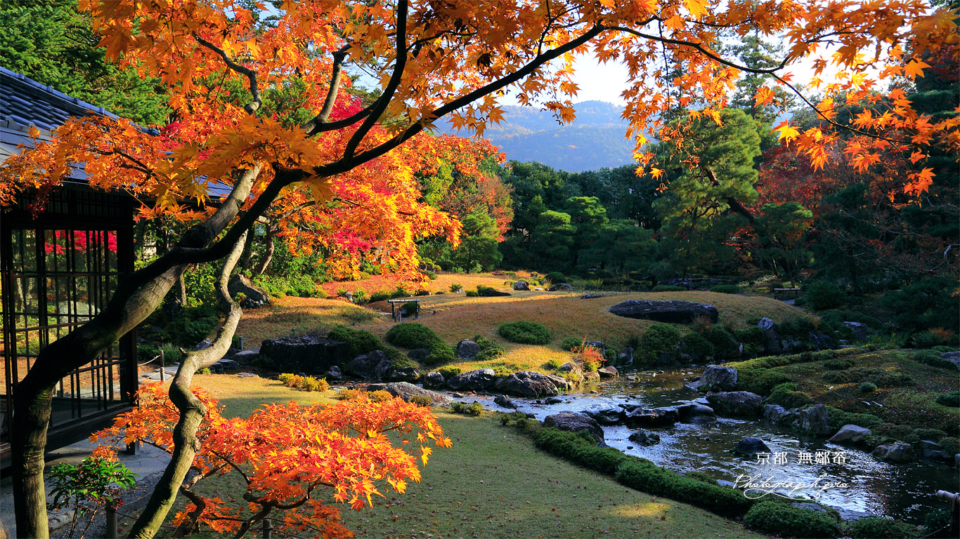 無鄰菴 紅葉越しの東山 壁紙