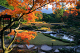 無鄰菴 紅葉越しの東山