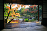 無鄰菴 紅葉の額縁庭園