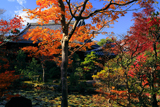 牧護庵 紅葉越しの本堂