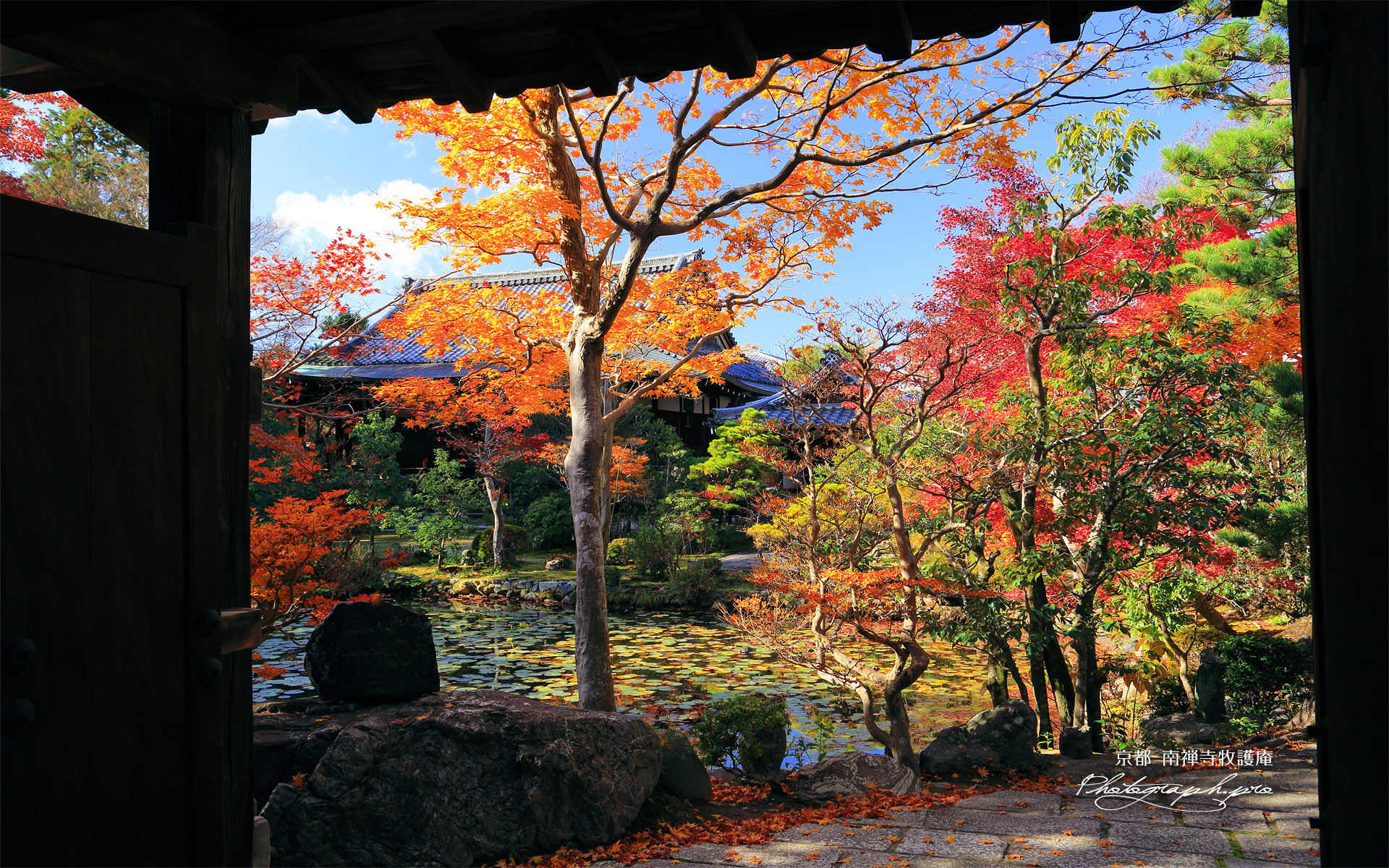 牧護庵 山門越しの紅葉の庭園