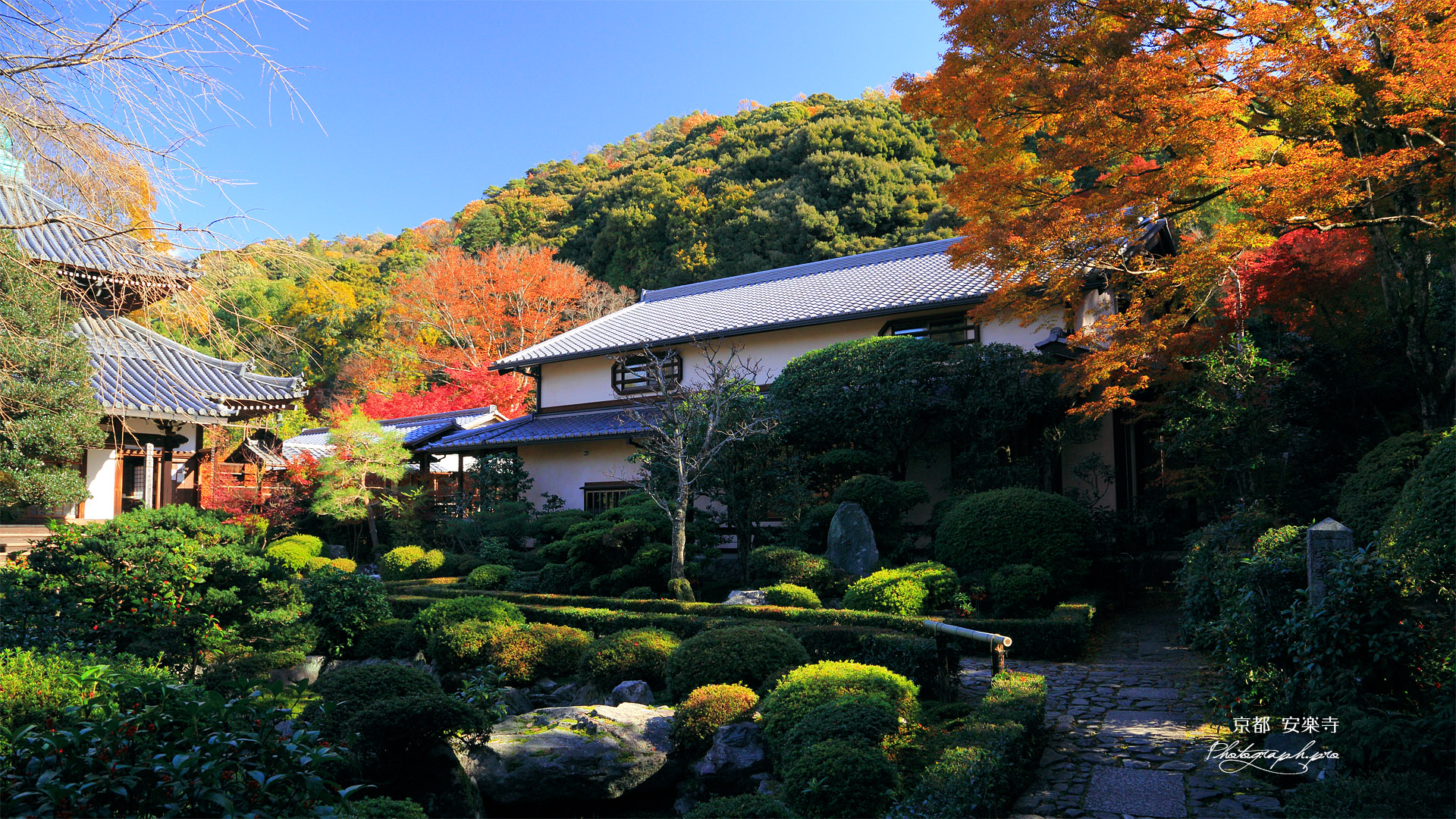 安楽寺 客殿「椛」と紅葉