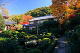 安楽寺 客殿「椛」と紅葉