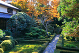 安楽寺 本堂前庭と紅葉