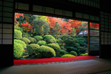 安楽寺 書院から紅葉の庭園