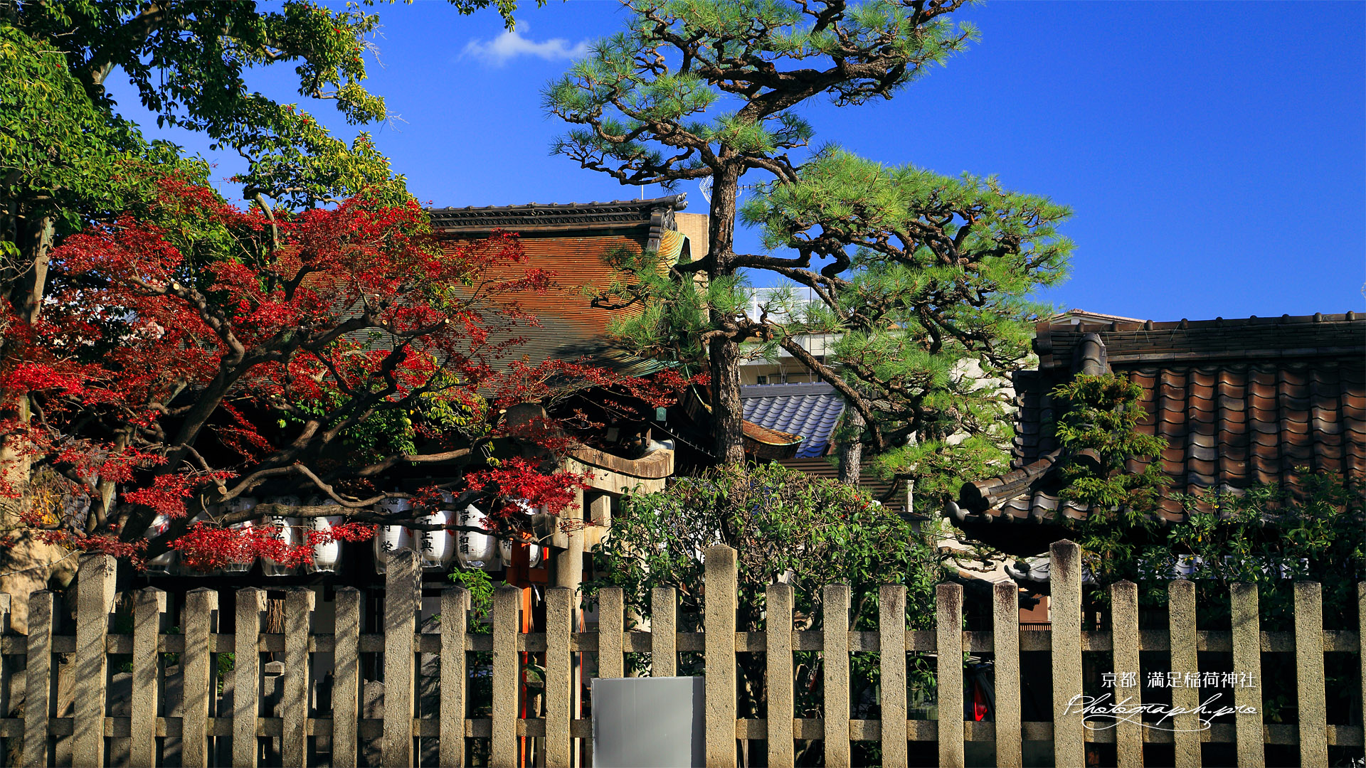 満足稲荷神社 玉垣越しの紅葉