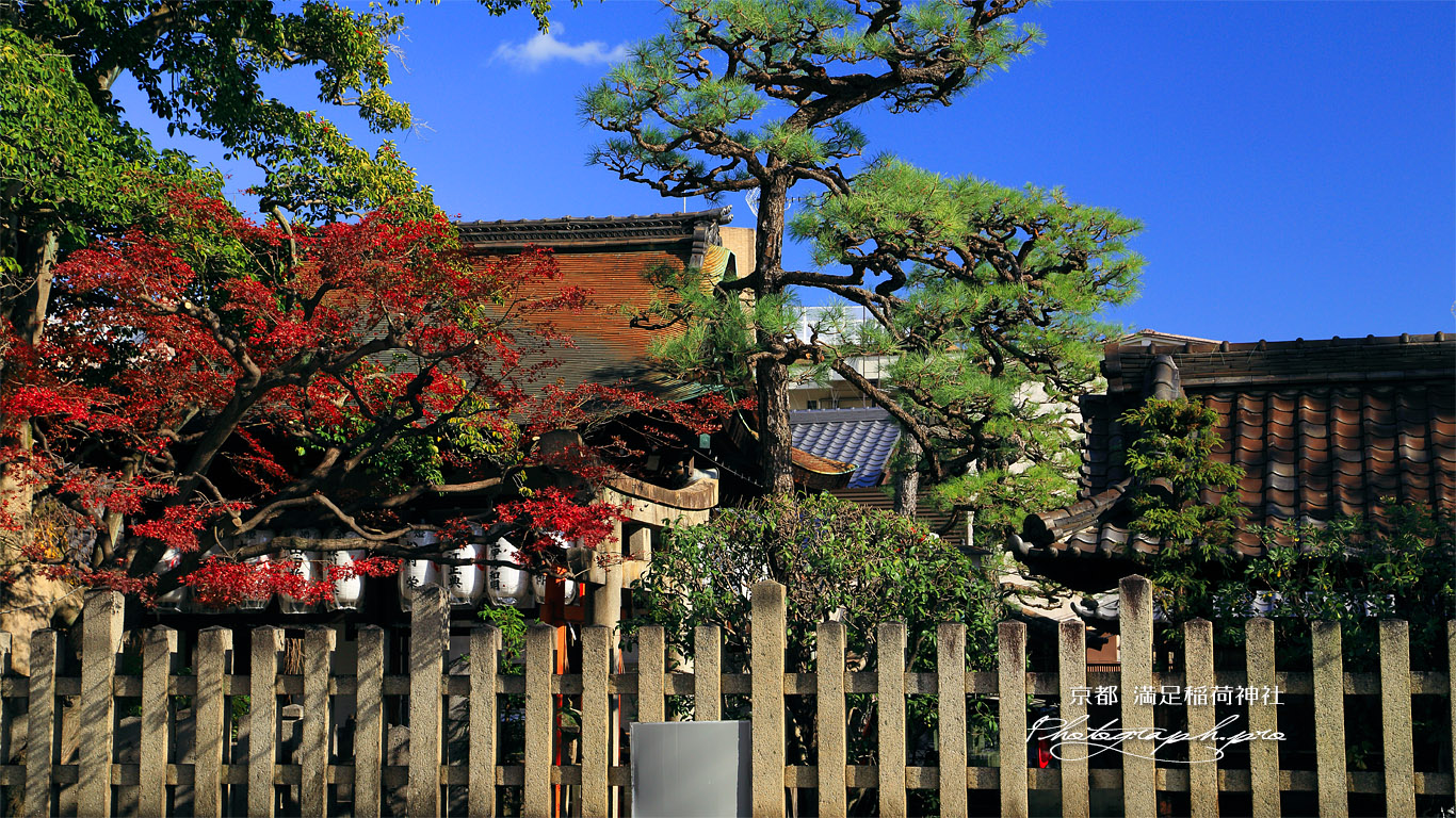 満足稲荷神社 玉垣越しの紅葉 壁紙