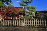 満足稲荷神社 玉垣越しの紅葉
