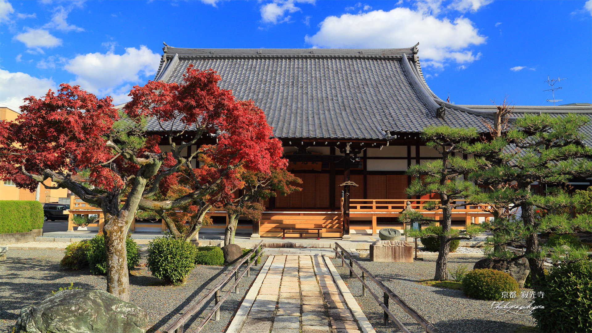 寂光寺 紅葉と本堂