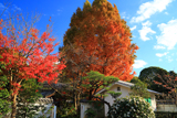 知恩院良正院