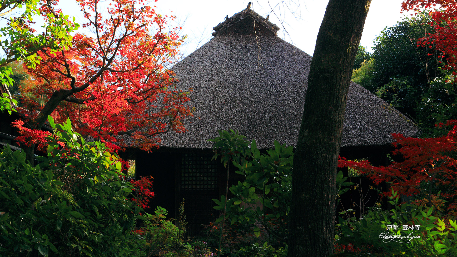 雙林寺 紅葉の花月庵