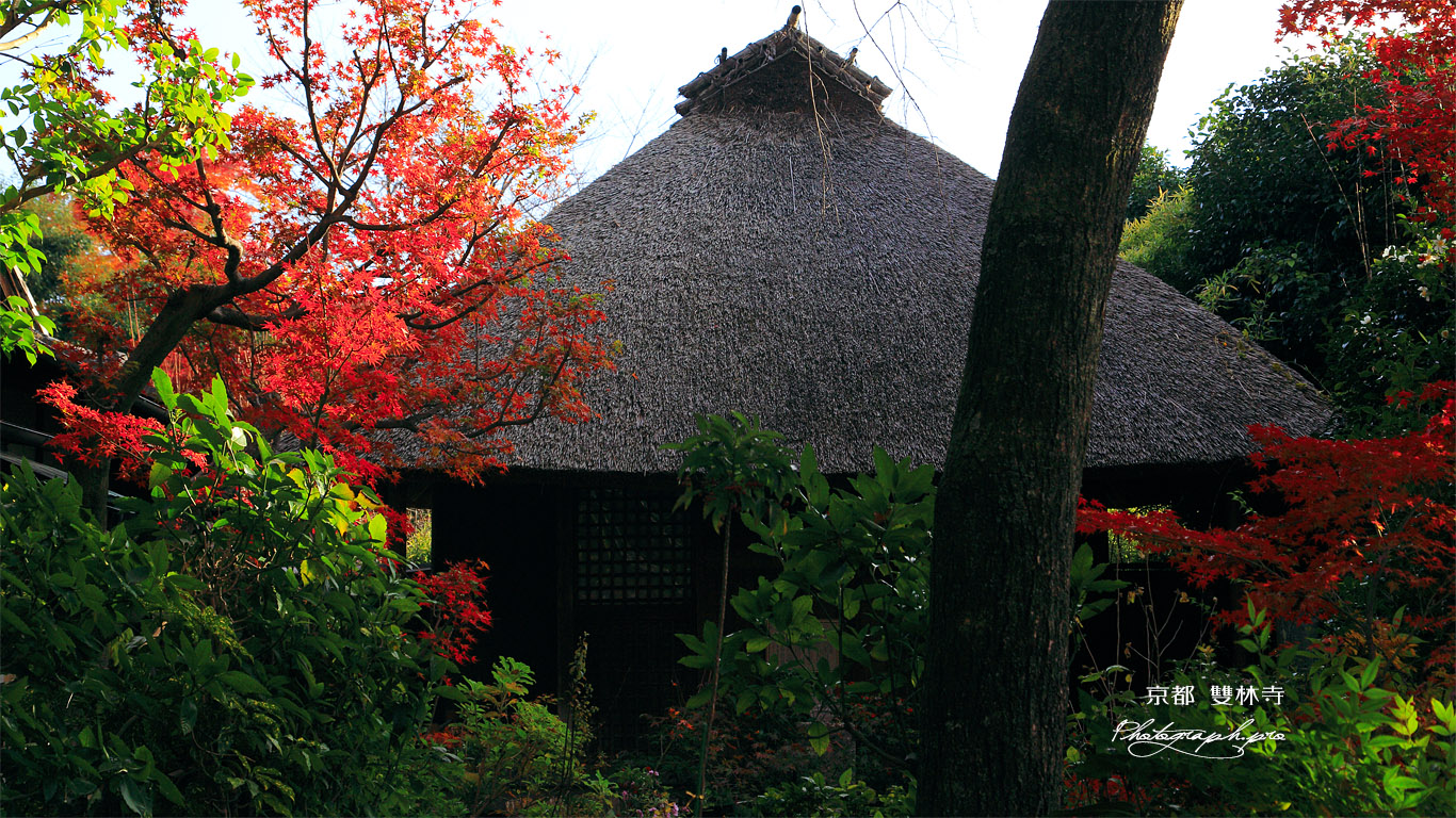 雙林寺 紅葉の花月庵 壁紙
