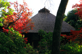 雙林寺 紅葉の花月庵