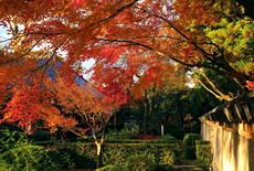 雙林寺