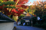 紅葉と芭蕉堂