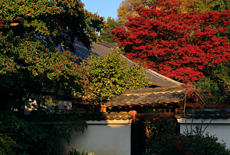 月真院