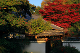 月真院