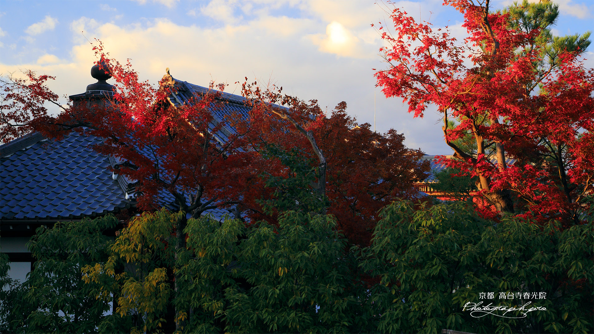 春光院 紅葉と堂宇