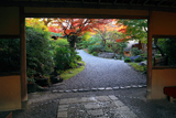 京大和の山門越し紅葉