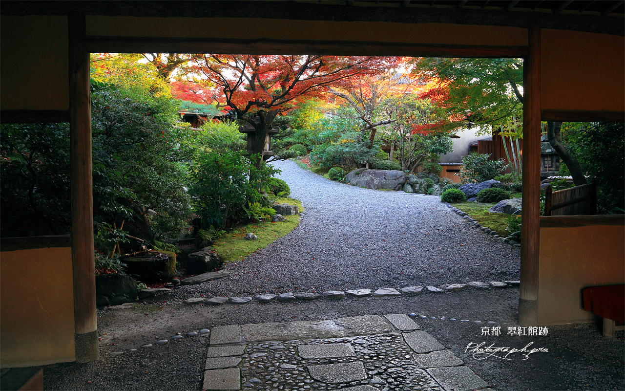 京大和の山門越し紅葉 壁紙