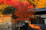 霊山正法寺 紅葉と山門