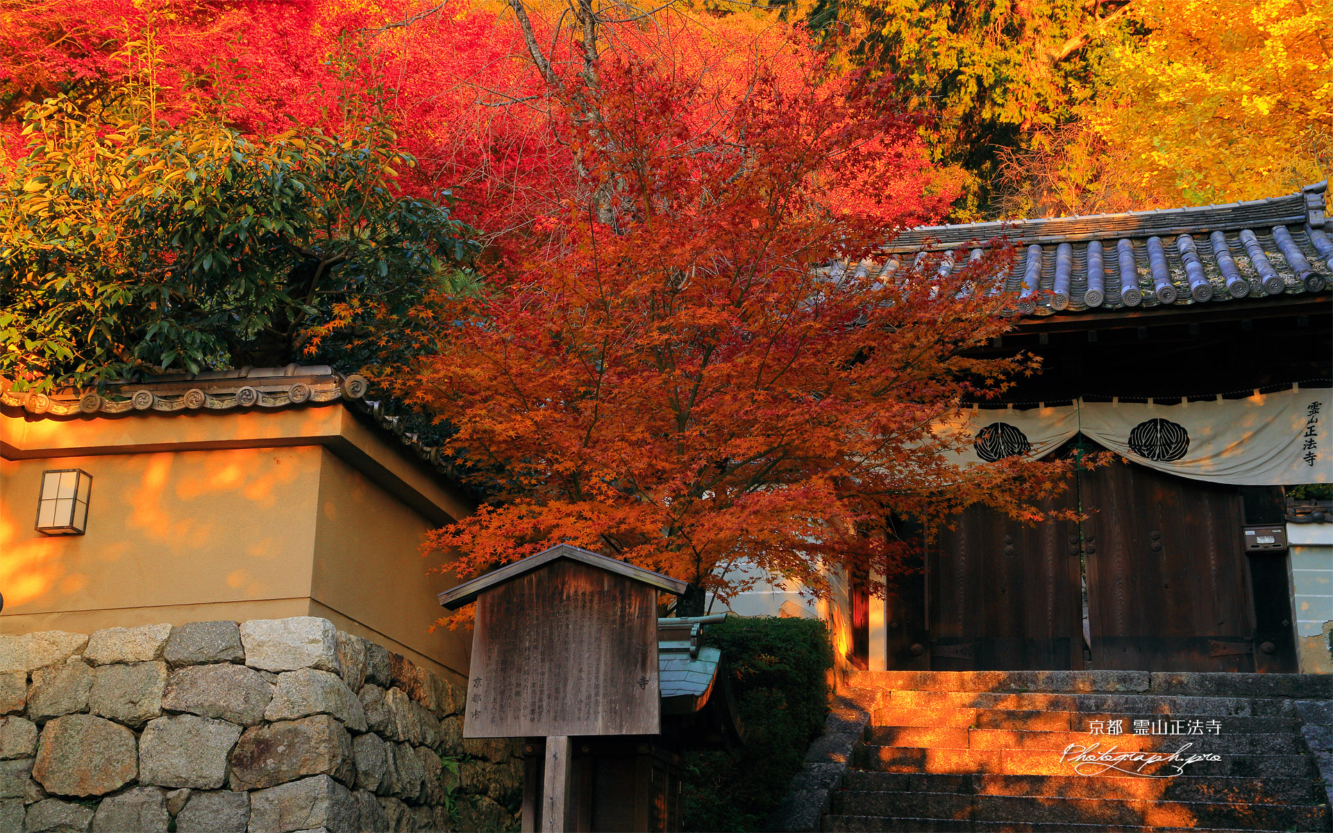 霊山正法寺 紅葉と山門