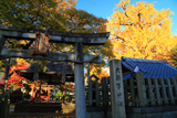 東三条大将軍神社 鳥居と錦秋の境内