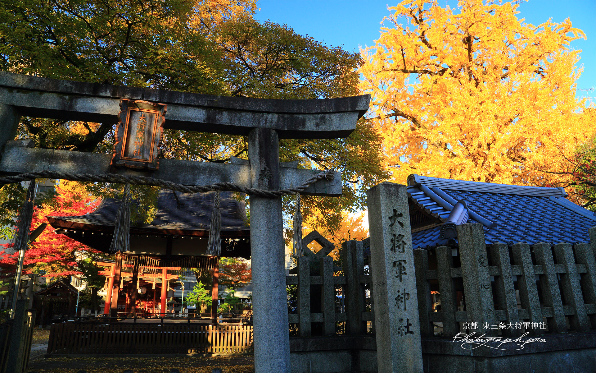 東三条大将軍神社 鳥居と錦秋の境内