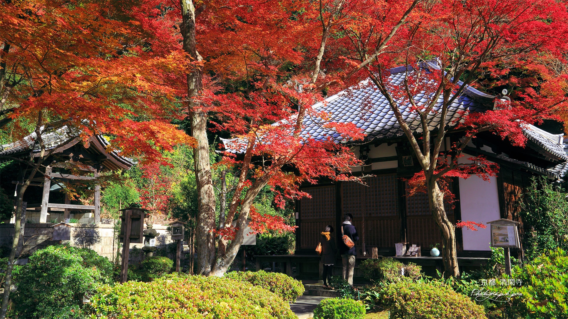 清閑寺 本堂と鐘楼に紅葉