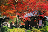 清閑寺 本堂と鐘楼に紅葉