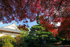 石塔寺