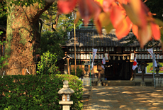 羽束師神社