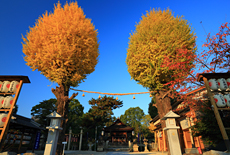 與杼神社