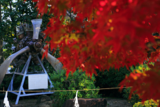 飛行神社