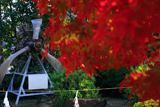 飛行神社 紅葉越しの零戦機首