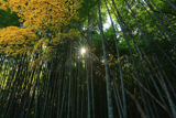 圓福寺