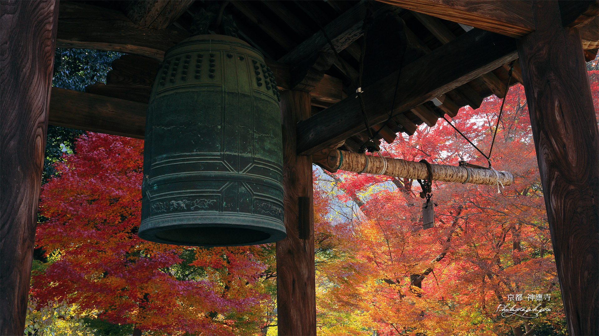 神應寺 鐘楼越しの紅葉