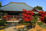 神應寺 紅葉と本堂