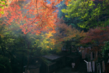 神應寺 紅葉の奥ノ院