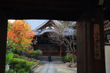 本教寺 山門越しの柑橘紅葉と本堂