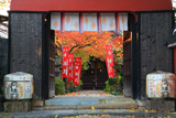 長建寺 山門越しの紅葉と本殿